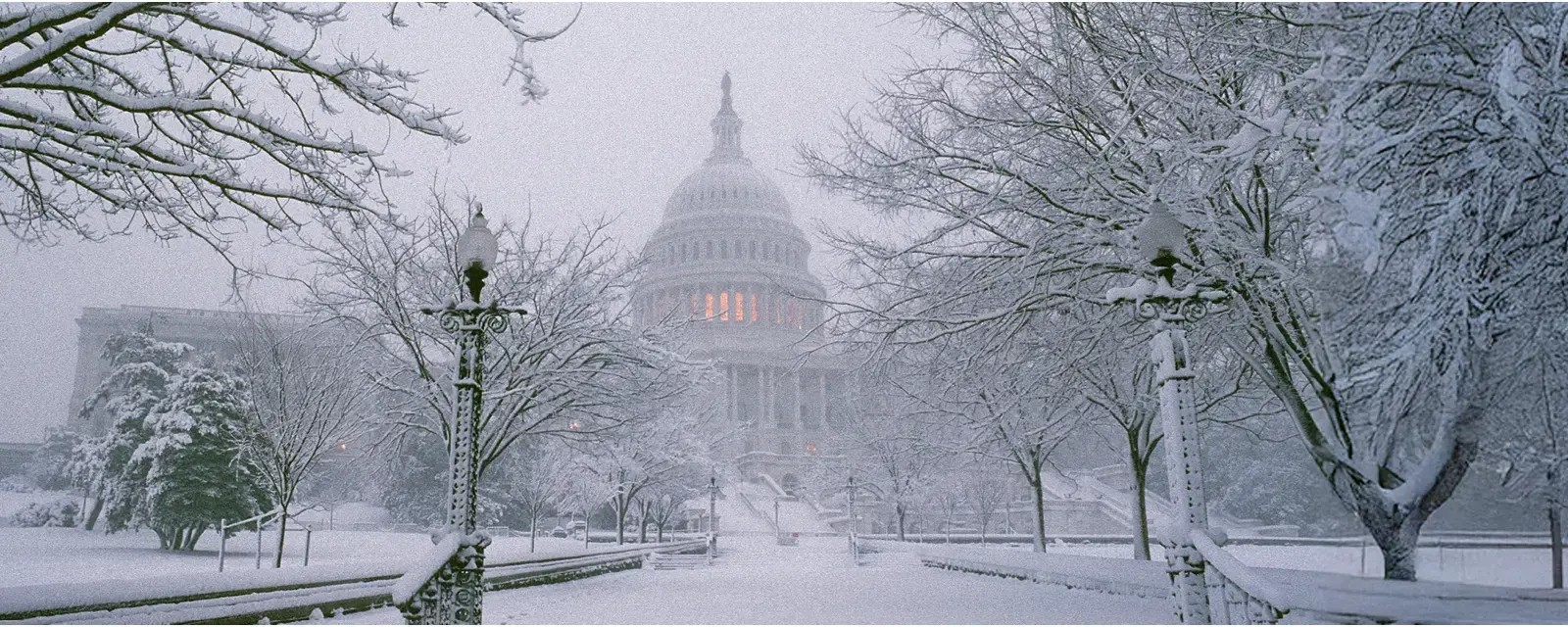U.S. Capitol Building on a winter day with trees heavy laden in snow.