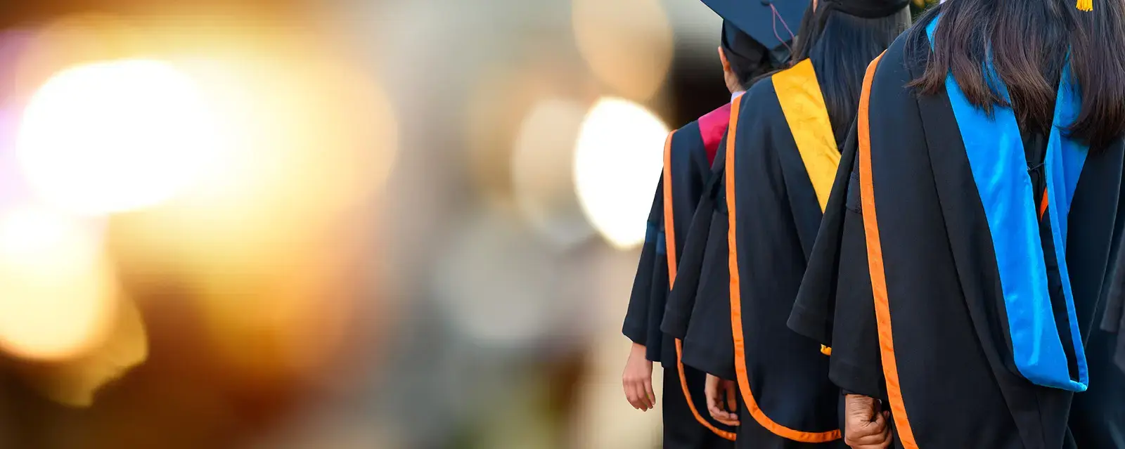 View showing the back of college graduates wearing graduation robes