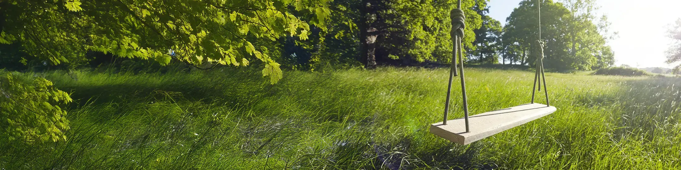 Homemade swing in sunny English countryside.