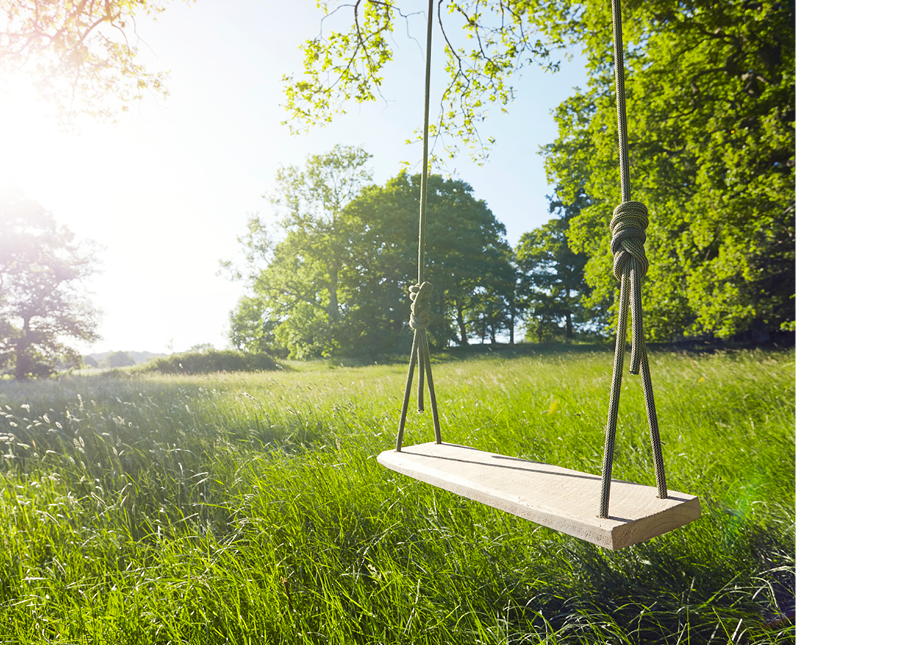 wooden swing hanging from a tree on a spring day